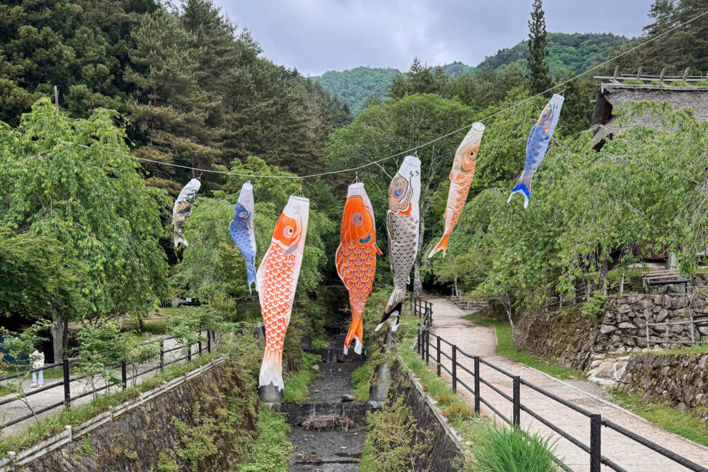Japan in 12 Days: Totally Worth the Jetlag img 0274