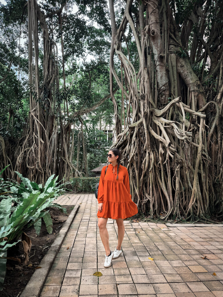 Top Things to Do in Kuala Lumpur, Malaysia img 0339 (1)