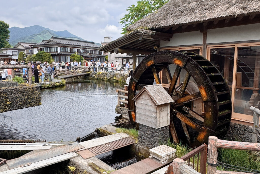 Japan in 12 Days: Totally Worth the Jetlag img 0360