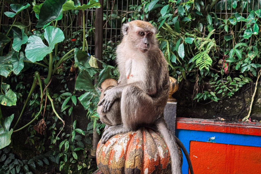 Top Things to Do in Kuala Lumpur, Malaysia img 0513