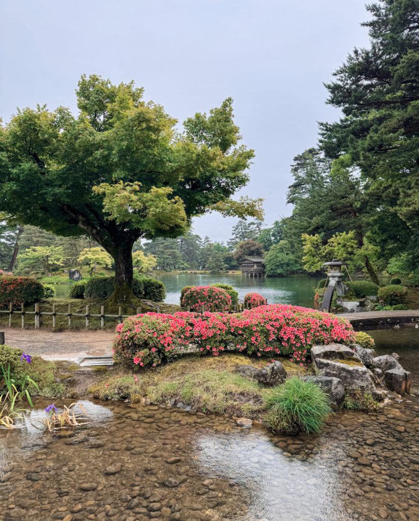 Japan in 12 Days: Totally Worth the Jetlag img 0657