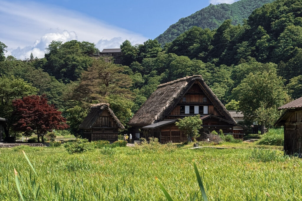 Japan in 12 Days: Totally Worth the Jetlag img 0803