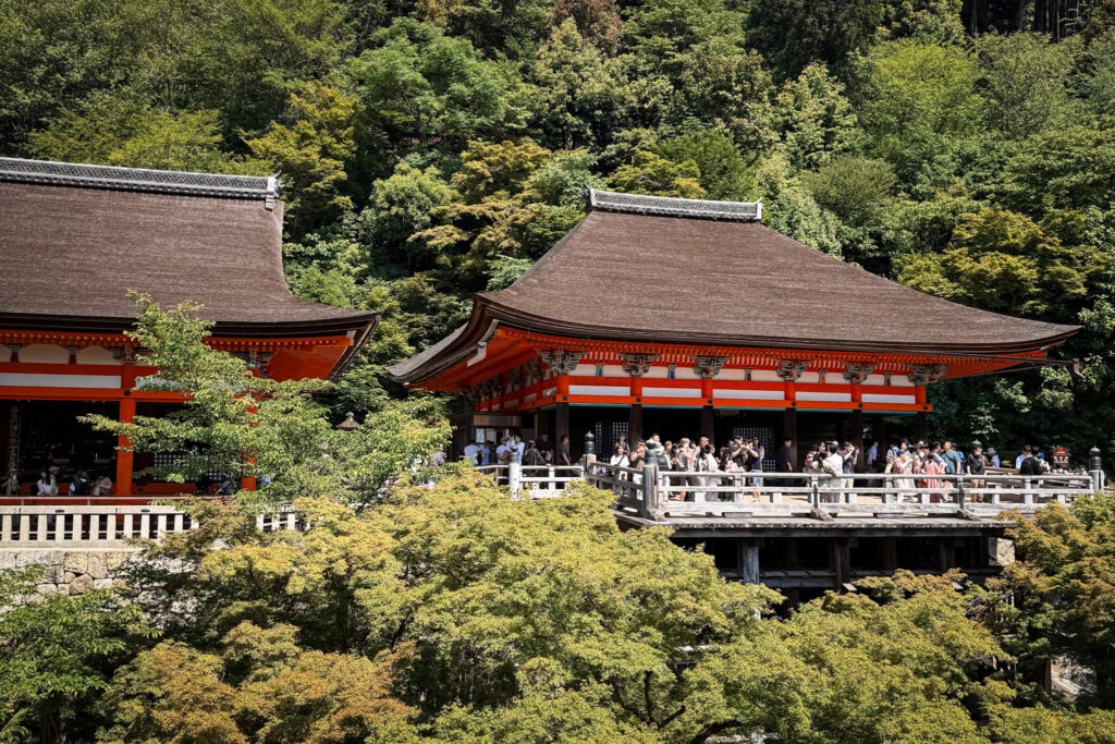 Japan in 12 Days: Totally Worth the Jetlag img 1128