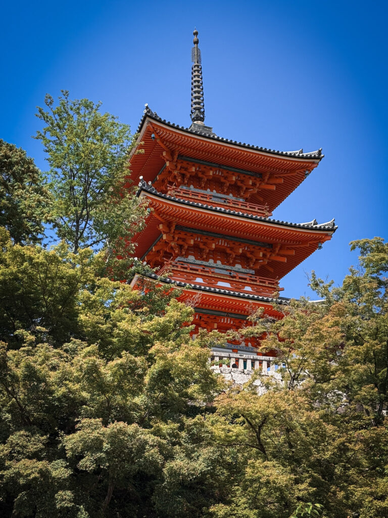 Japan in 12 Days: Totally Worth the Jetlag img 1144