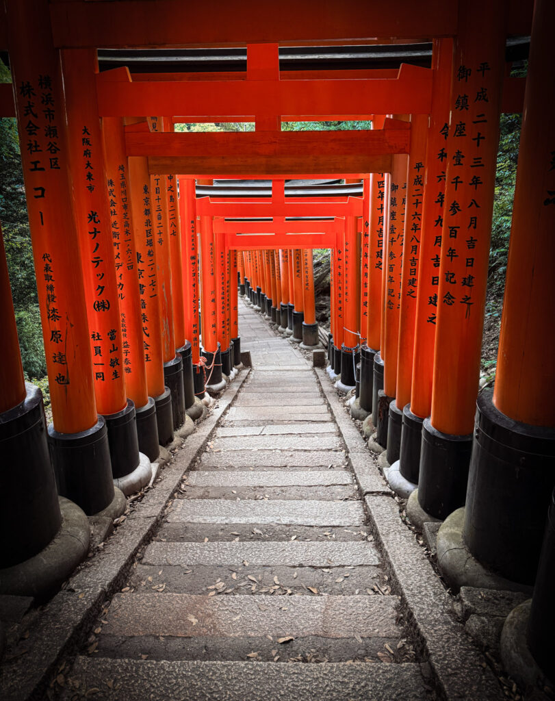 Japan in 12 Days: Totally Worth the Jetlag img 1452 (1)