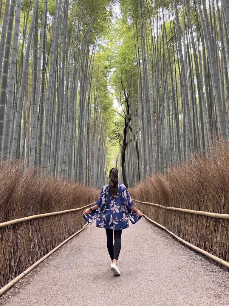 Japan in 12 Days: Totally Worth the Jetlag img 1614
