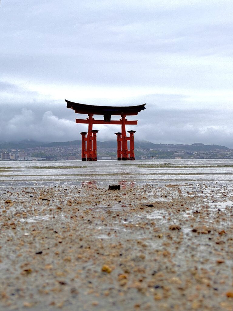 Japan in 12 Days: Totally Worth the Jetlag img 2629