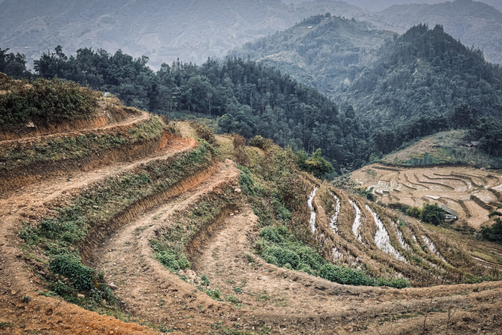 Northern Vietnam: Hanoi, Sapa & Ha Long Bay img 2690