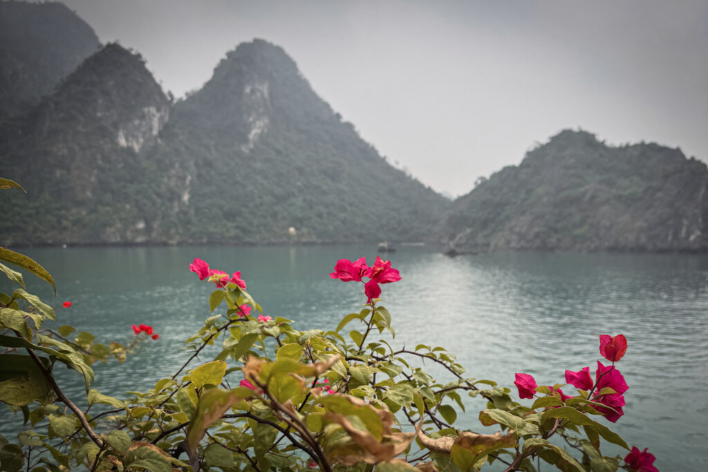 Northern Vietnam: Hanoi, Sapa & Ha Long Bay img 3044