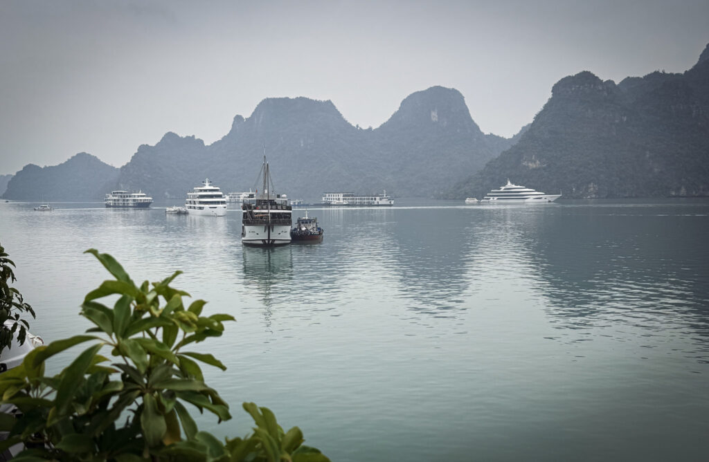 Northern Vietnam: Hanoi, Sapa & Ha Long Bay img 3294