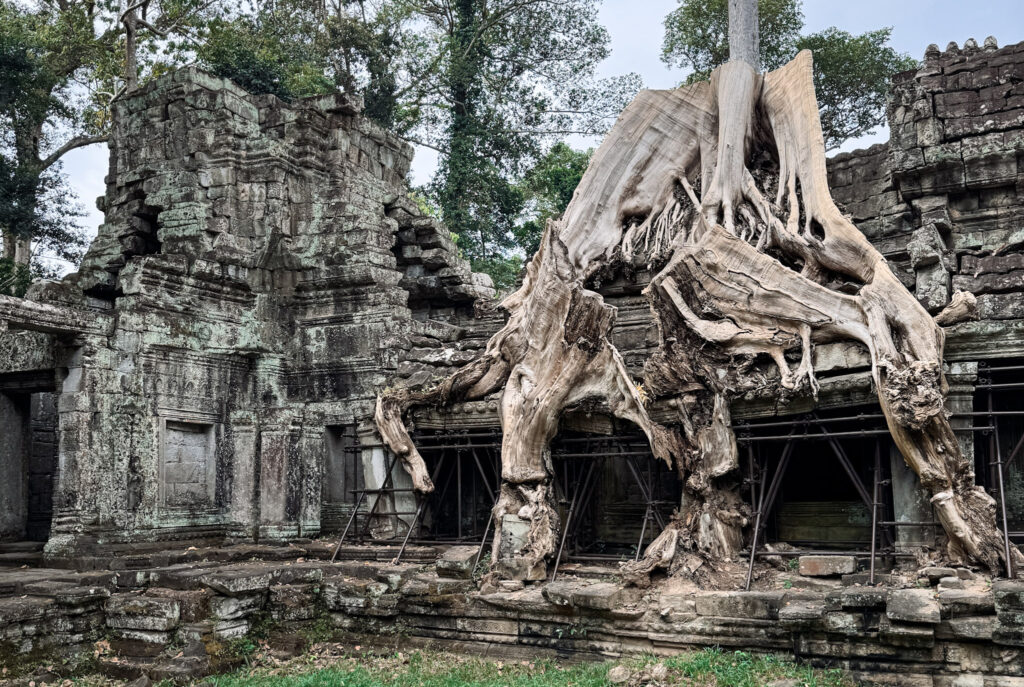 Angkor Wat: My Favorite 10 Temples Ranked img 3643