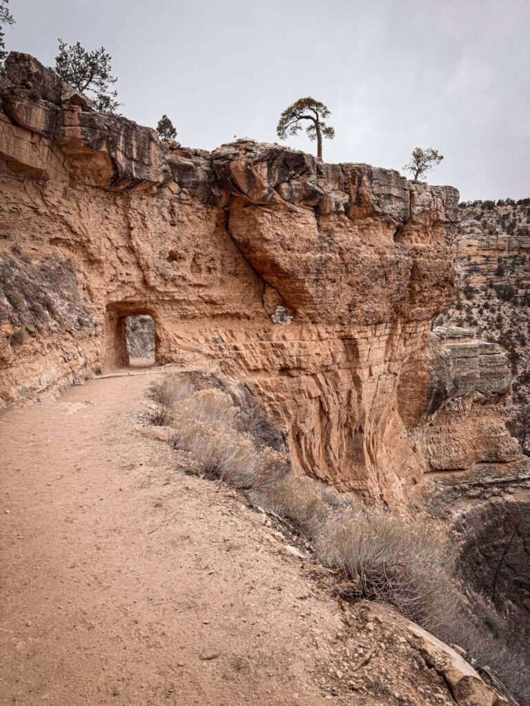 Top National Parks from Las Vegas img 5819