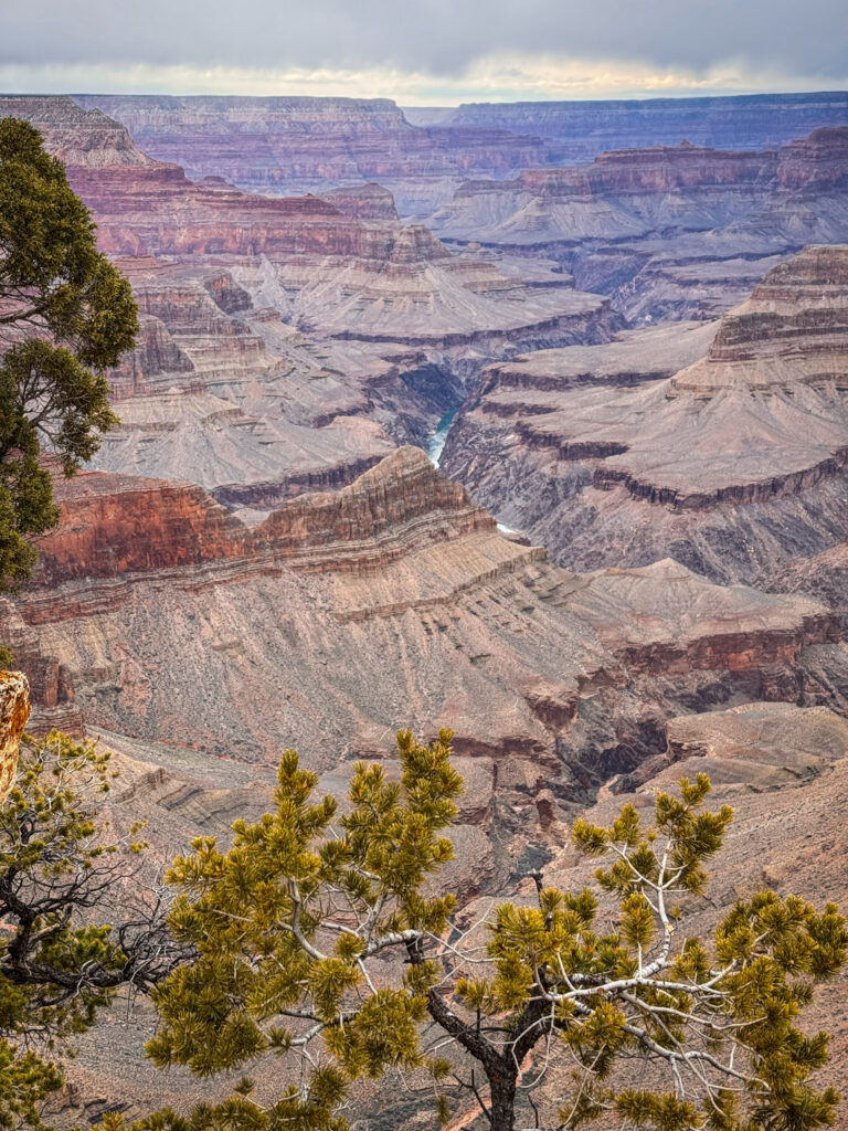 Top National Parks from Las Vegas img 5862