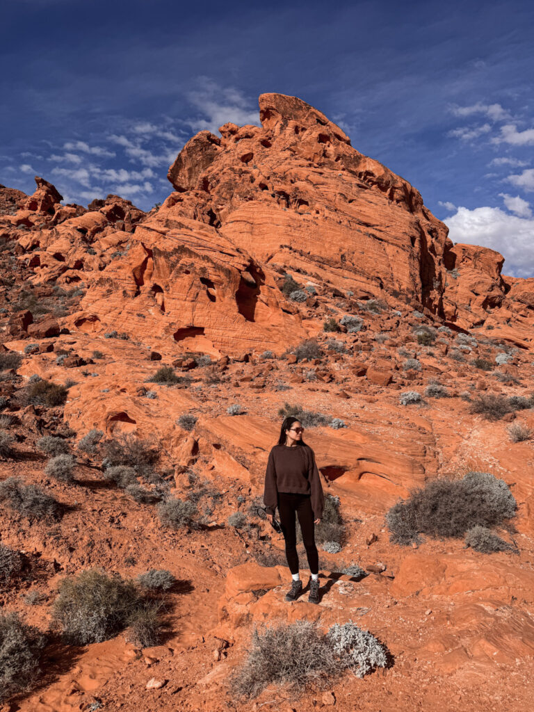 Top National Parks from Las Vegas img 6339