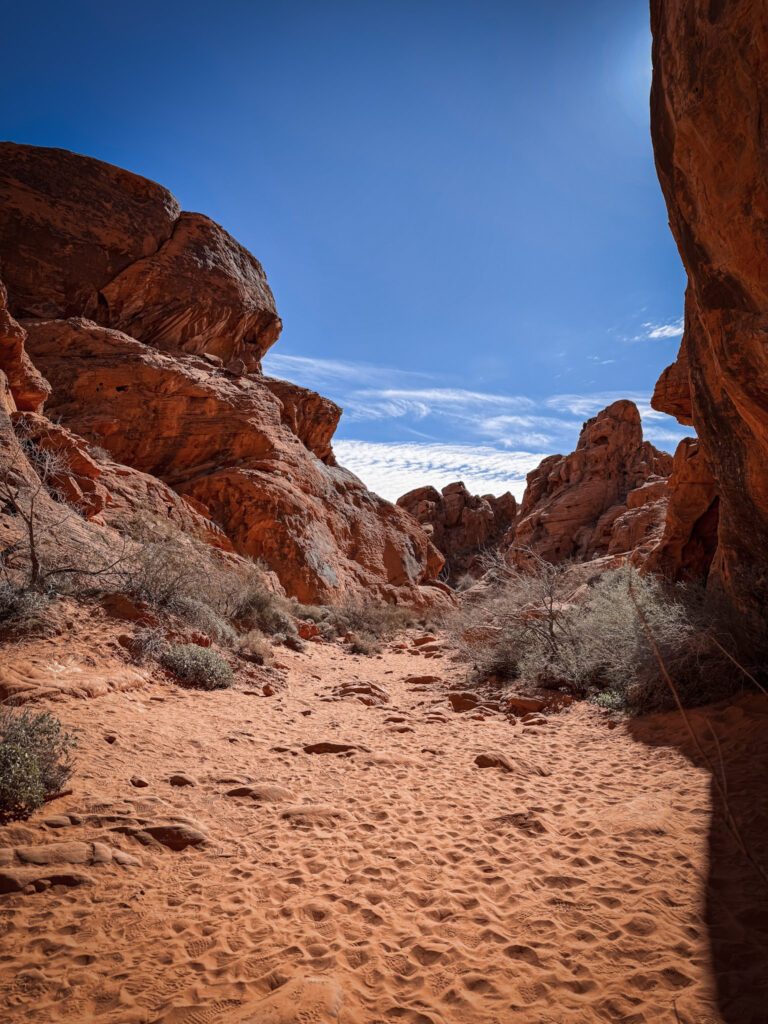 Top National Parks from Las Vegas img 6353