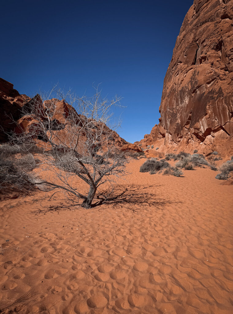 Top National Parks from Las Vegas img 6415