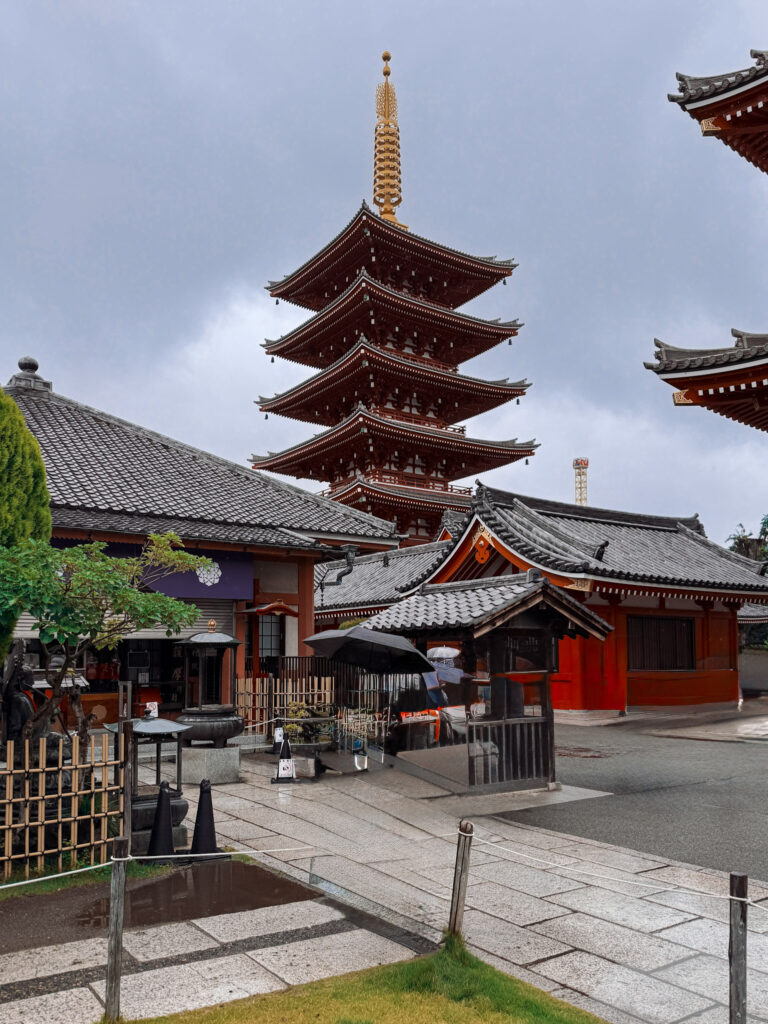 Japan in 12 Days: Totally Worth the Jetlag IMG 9809 768x1024