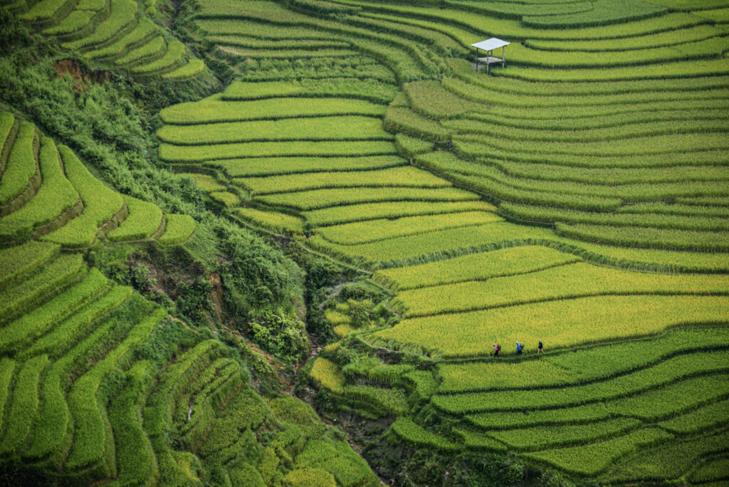 doan tuan 3qfqoxgcvme unsplash (2) (2)