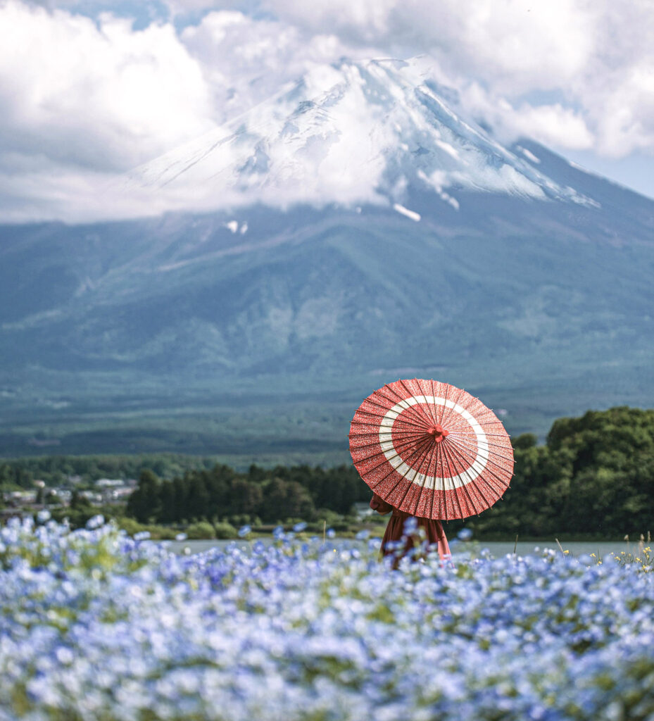 Japan in 12 Days: Totally Worth the Jetlag nguyen tp hai 8ikmfi2slc4 unsplash (1)