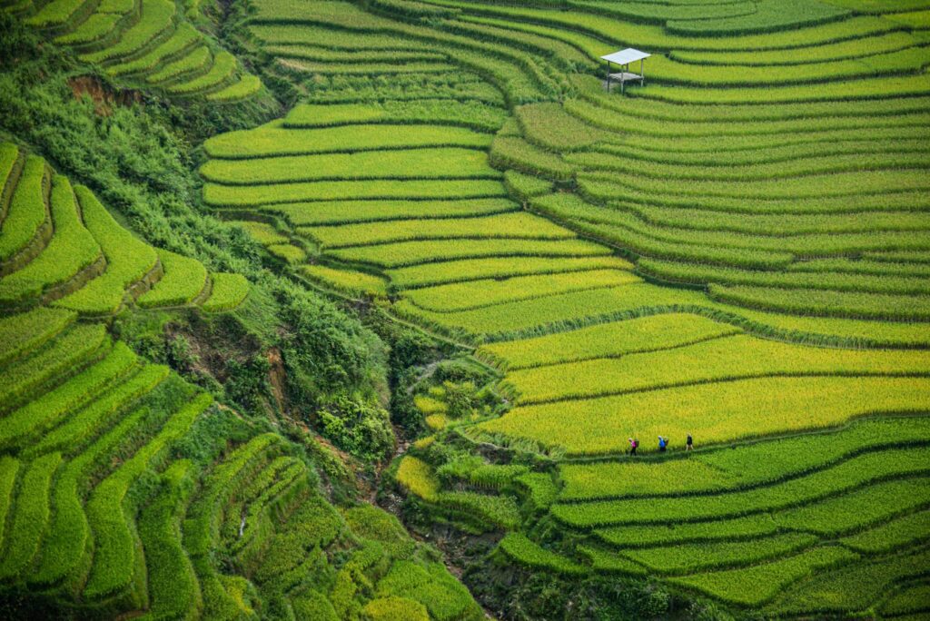 northern vietnam