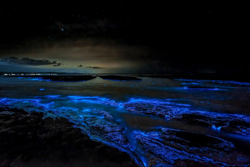 trevor mckinnon mhodknkpuru unsplash (1)