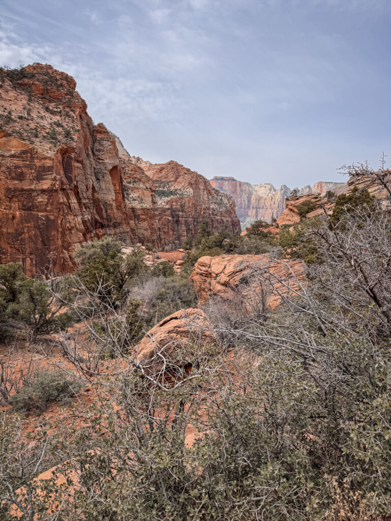 Zion National Park: The Complete Guide img 5409