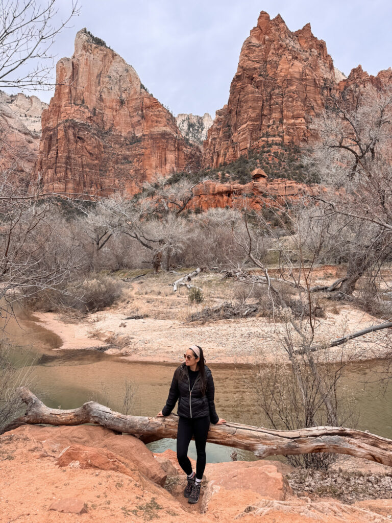 Zion National Park: The Complete Guide img 5559
