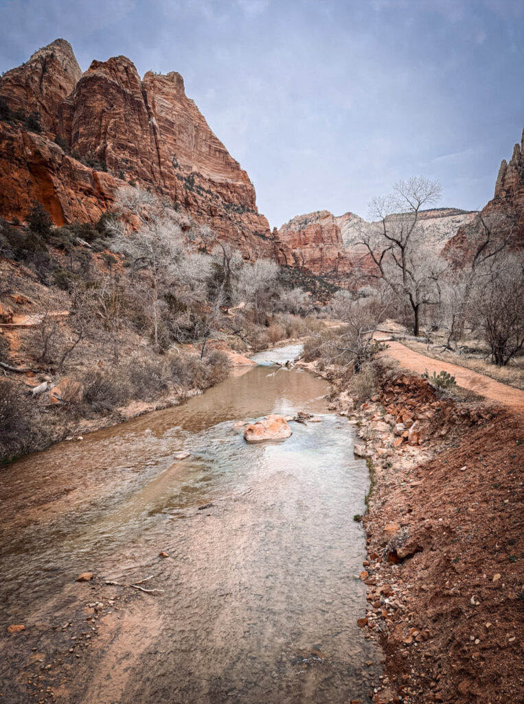 Zion National Park: The Complete Guide img 5573