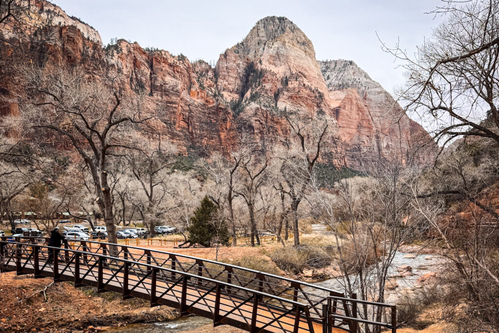 Zion National Park: The Complete Guide img 5611