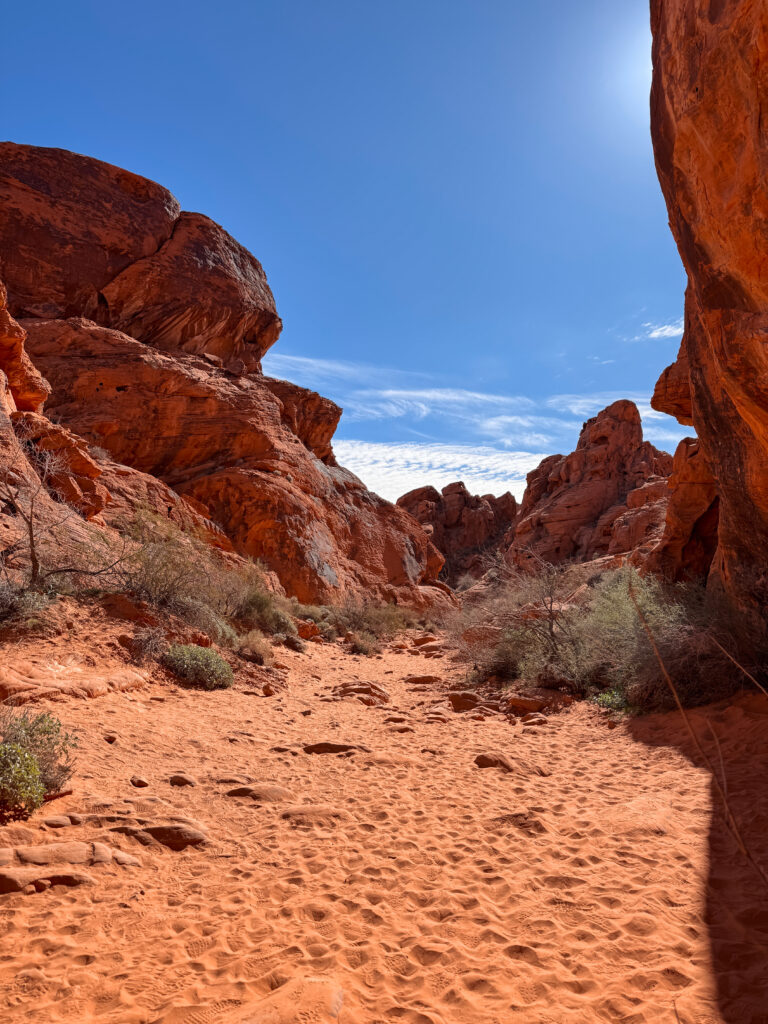 Valley of Fire: Day Trip from Las Vegas img 6353