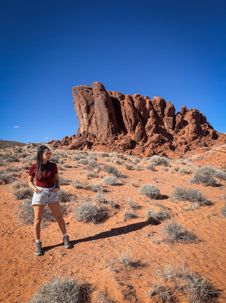 Valley of Fire: Day Trip from Las Vegas img 6477