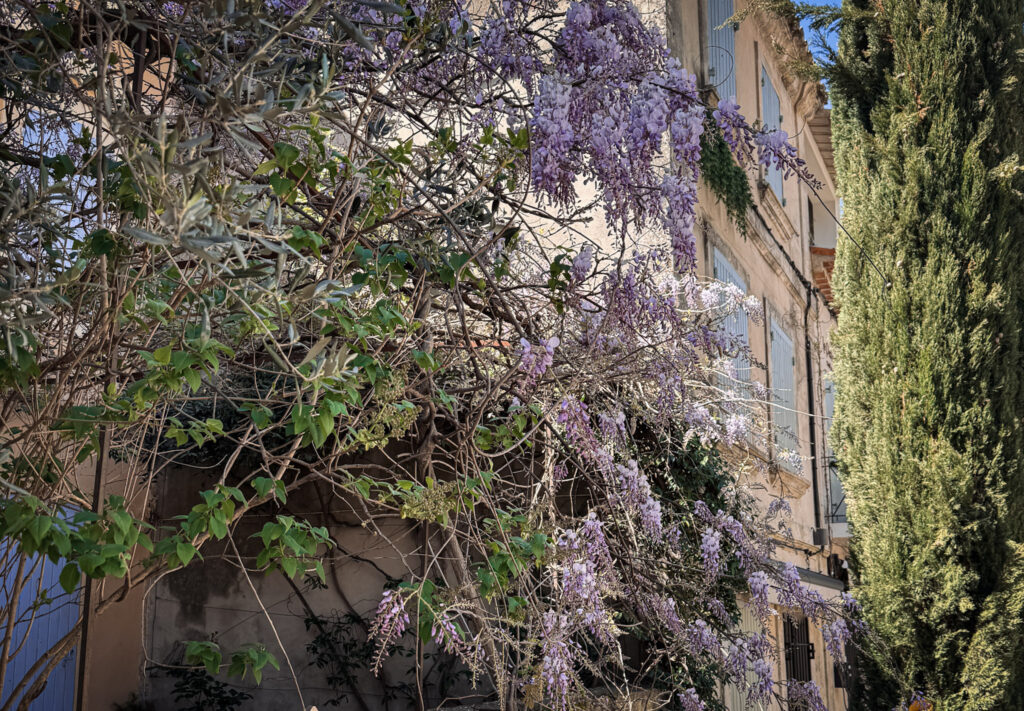 Top Places to Visit in Provence, France img 8731