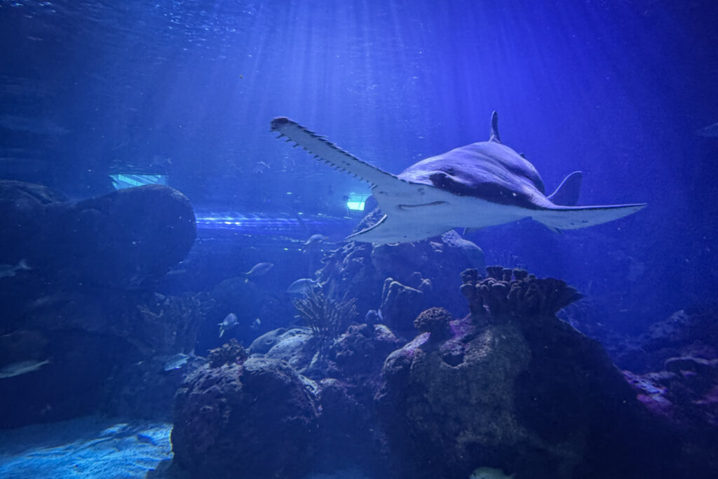 Top 10 Things to Do in Toronto img 9480