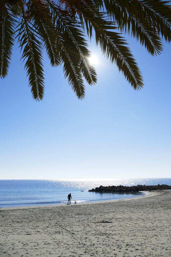 Sunlit beach in Santa Pola framed by palm leaves