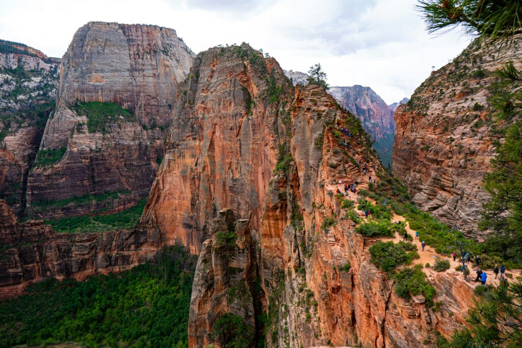 Zion National Park: The Complete Guide joshua gresham qxmqvmz4lc8 unsplash