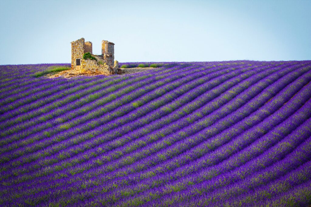 Top Places to Visit in Provence, France sara geiko p1rybric3v4 unsplash