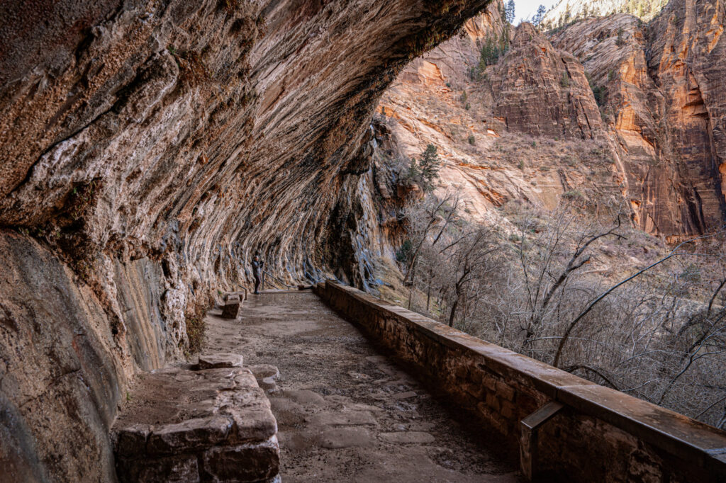Zion National Park: The Complete Guide weeping rock zion national park