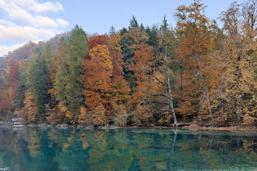3 Days in Bavaria, Germany Turquoise alpine lake surrounded by vibrant autumn trees in Füssen Bavaria Germany