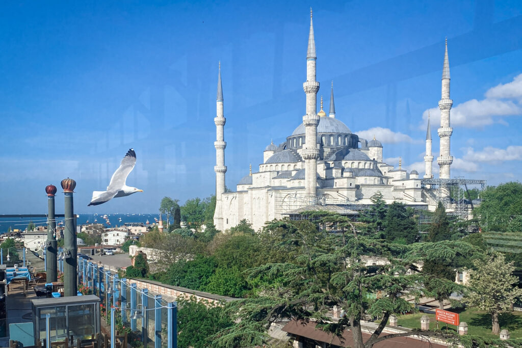 3 Days in Istanbul, Turkey Rooftop terrace view of the Blue Mosque in Istanbul with a seagull flying in front of the historic minarets