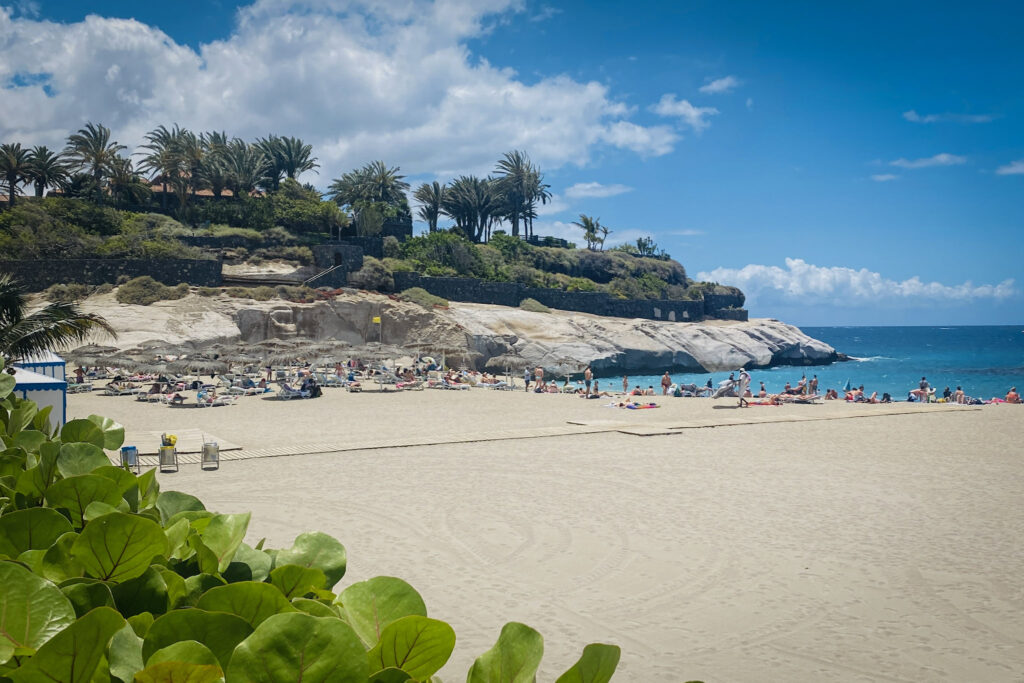 Top 10 Things to Do in Tenerife El Médano beach with palm-covered cliffside, Tenerife