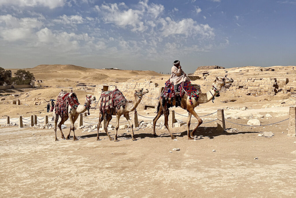 3 Days in Cairo, Egypt A guide riding a dromedary camel leading two others past stone ruins at the Giza Pyramids complex in Cairo, Egypt