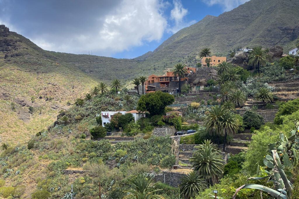 Top 10 Things to Do in Tenerife Terraced houses and palm trees in Masca village, Tenerife