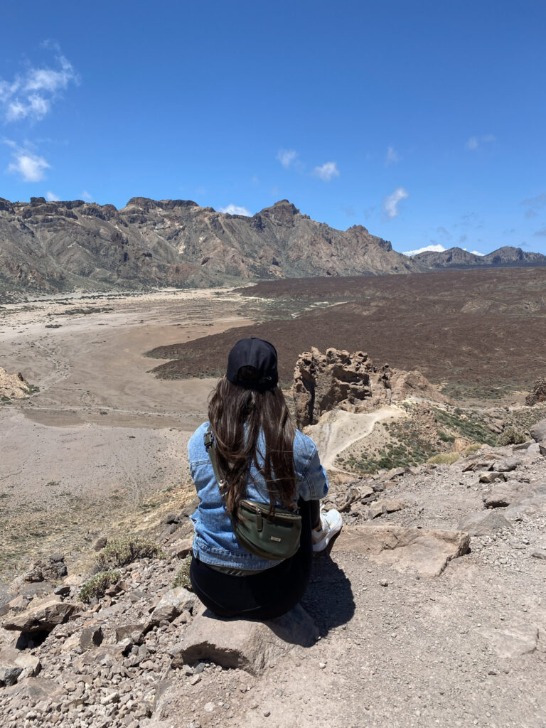 Top 10 Things to Do in Tenerife Overlooking the volcanic caldera floor at Teide National Park, Tenerife