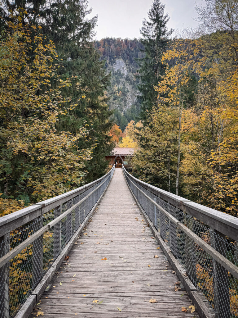 3 Days in Bavaria, Germany Wooden walkway of Highline179 pedestrian suspension bridge crossing a forested valley in autumn