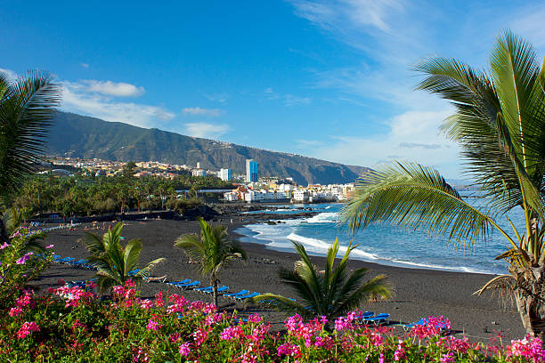Top 10 Beaches in Tenerife Lush pink flowers and palm trees overlooking the black sand beach of Playa Jardín in Puerto de la Cruz, Tenerife