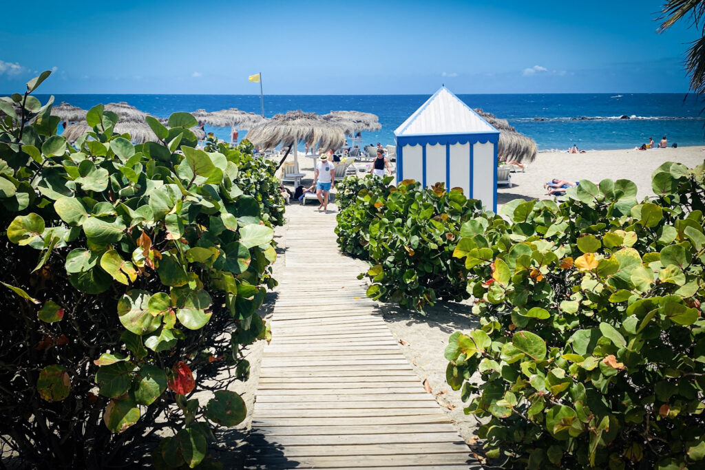 Top 10 Beaches in Tenerife Wooden beach walkway framed by green sea grape bushes leading to the golden sand and thatched umbrellas of Playa de las Américas in Tenerife