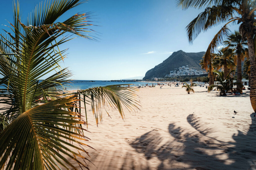 Top 10 Beaches in Tenerife Palm trees casting shadows on the golden sand of Playa de Las Teresitas beach in Tenerife under a clear blue sky.