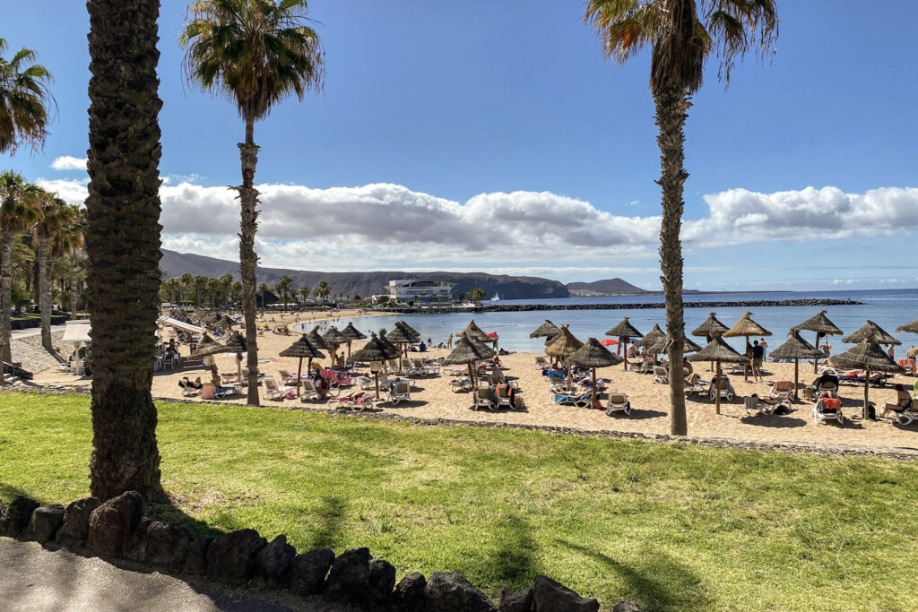 Top 10 Beaches in Tenerife A scenic view of a sandy beach in Tenerife lined with palm trees, straw umbrellas, and sun loungers under a blue sky with soft white clouds