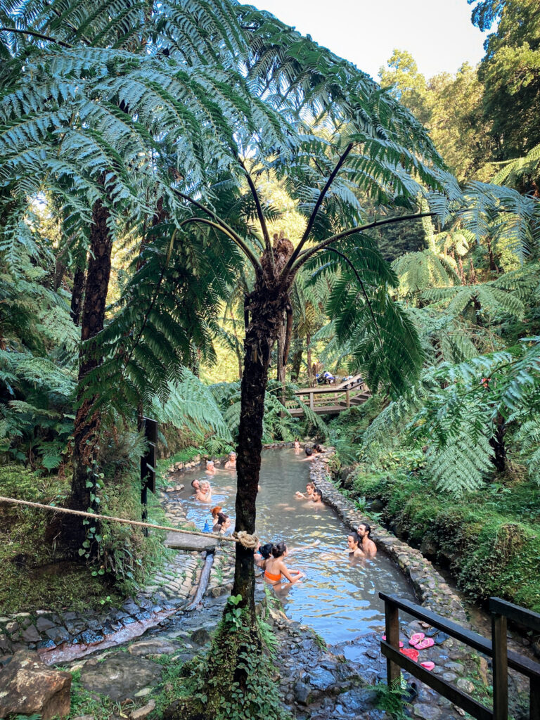 Top Things to Do in São Miguel, Azores Relaxing in the natural jungle thermal pools of Caldeira Velha during a São Miguel Island road trip.
