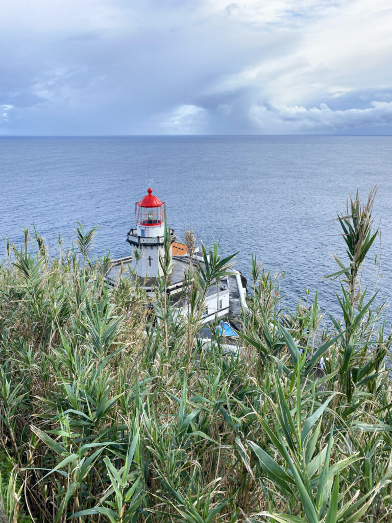 Top Things to Do in São Miguel, Azores Historic coastal lighthouse with a red dome seen through tall green grass against a calm blue ocean in the Azores.
